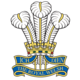 welshwarriorsstaff